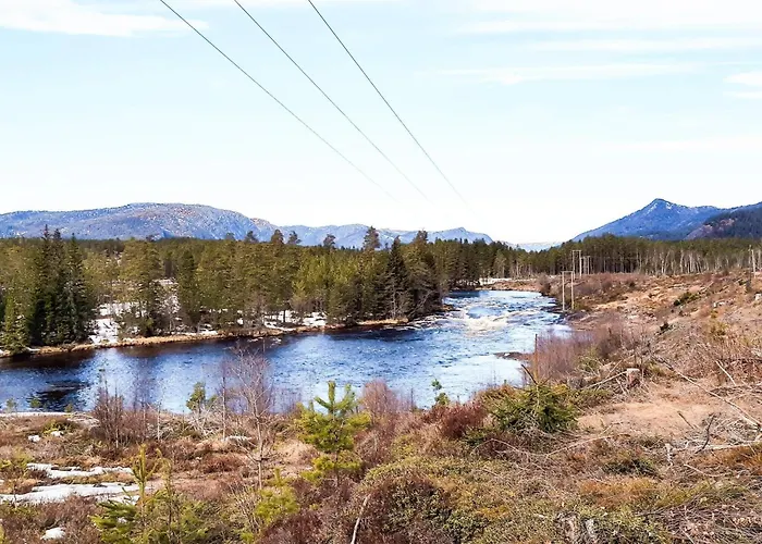 8 Person In * Åmli